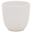Cup 573 | Decor 000