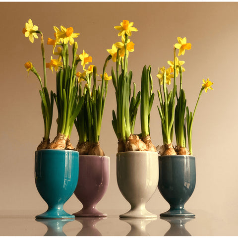 Drinking cup Manthey 597 | Decor 053