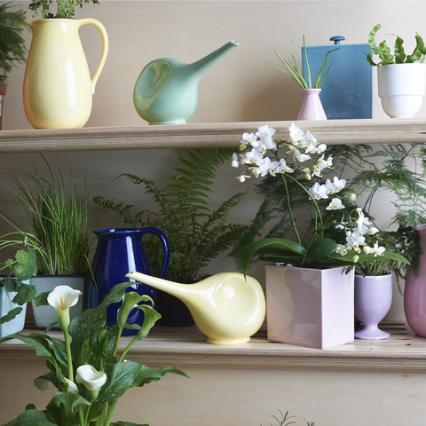 Jar 870 | Decor 005