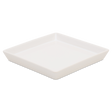 Platter 493 | Decor 000