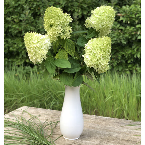 Vase 722C | Decor 056-7