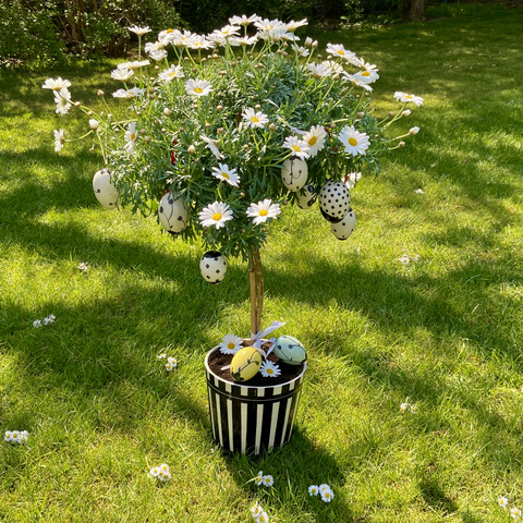 Plant pot 770B | Decor 612