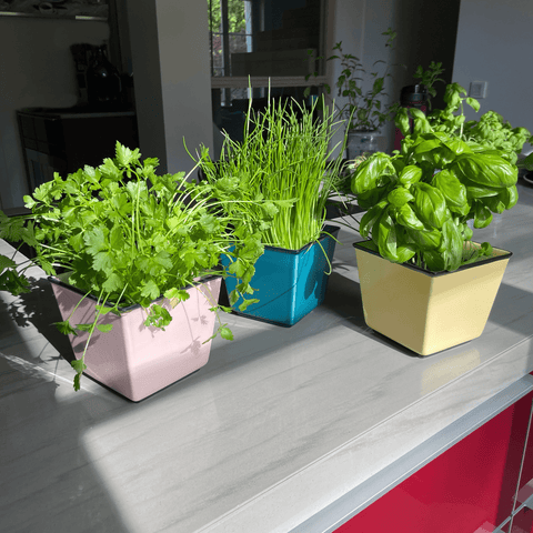 Plant pot HB 757 | Decor 054