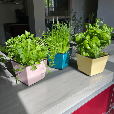 Plant pot HB 757 | Decor 053-1