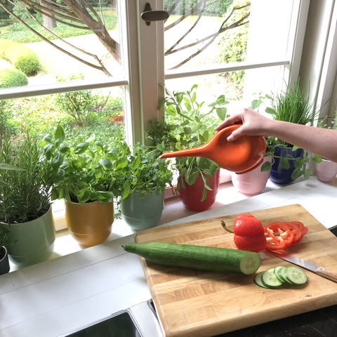 Watering can 766 | Decor 000