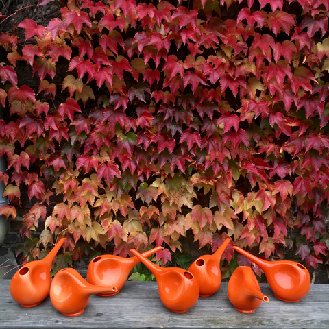 Watering can 766A | Decor 000