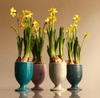 Drinking cup set 4 pcs 597 | Decor 999