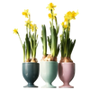 Drinking cup set 3 pcs 597 | Decor 999