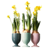 Drinking cup set 3 pcs 597 | Decor 999
