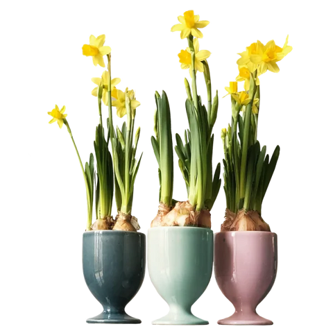 Drinking cup set 3 pcs 597 | Decor 999